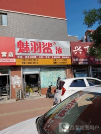 魅羽鲨泳衣(金秋园2期店)